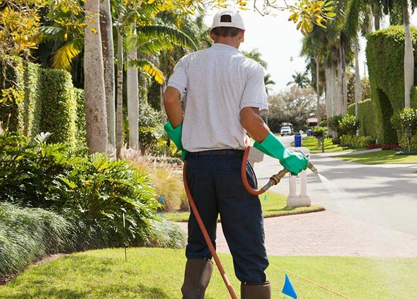 About Dearborn MO Pest Control